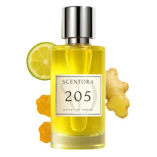 Scentora 205 (Inspired by LV Afternoon Swim)